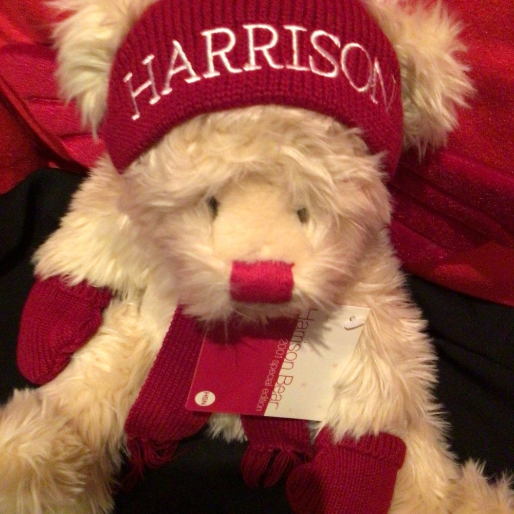 Teddy Bear Harrison Special Edition